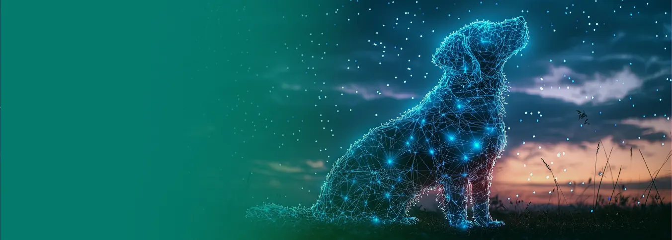 Canine silhouette formed by a constellation of radiology nodes